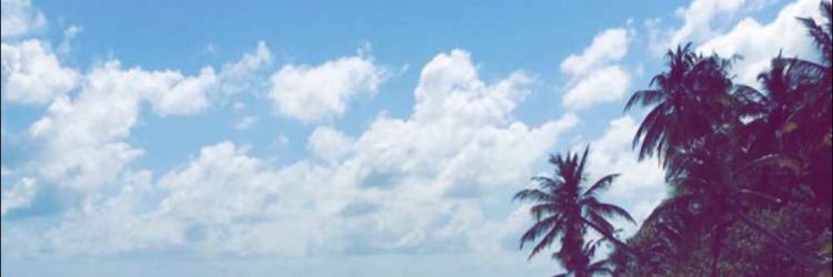 1_hessa7's profile banner image