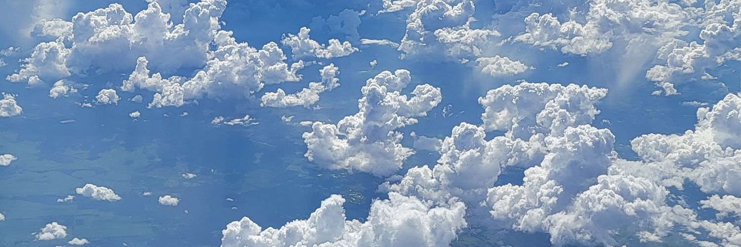 LifeAs_Reese's profile banner image