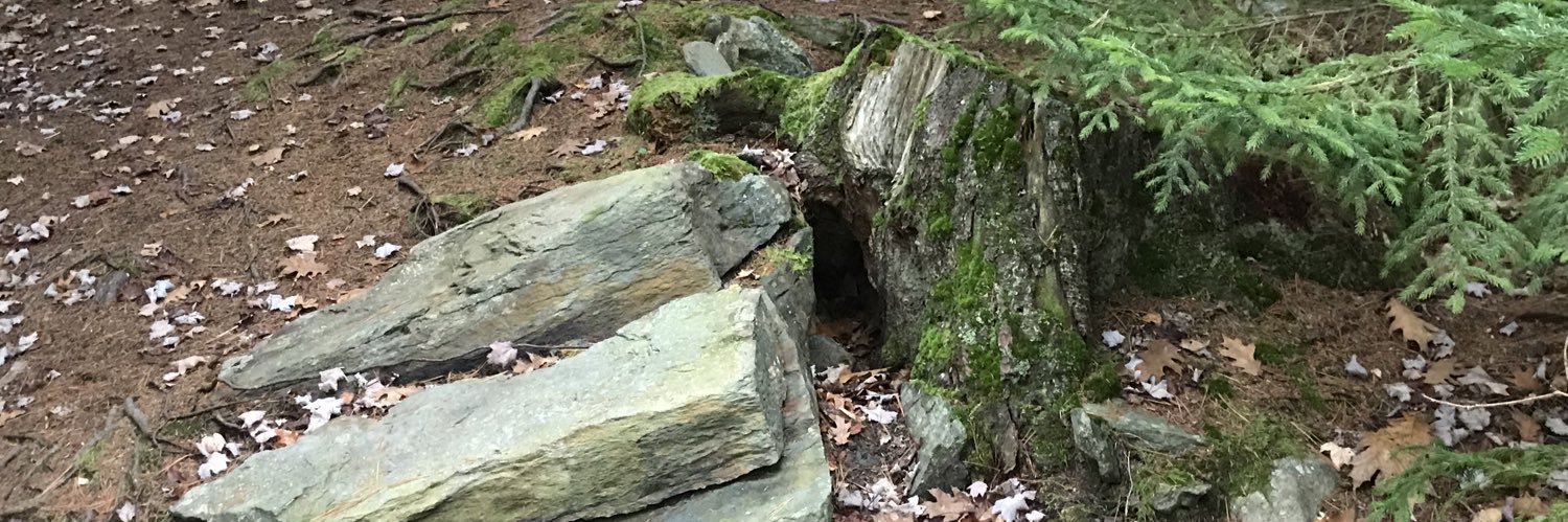 ☠️Poison☠️Pen banner