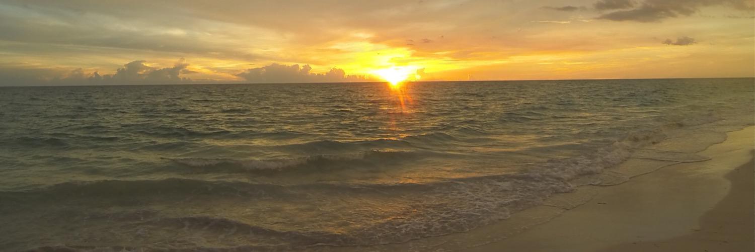 Matty_bully's profile banner image