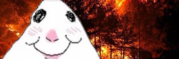 beaniebbean's profile banner image