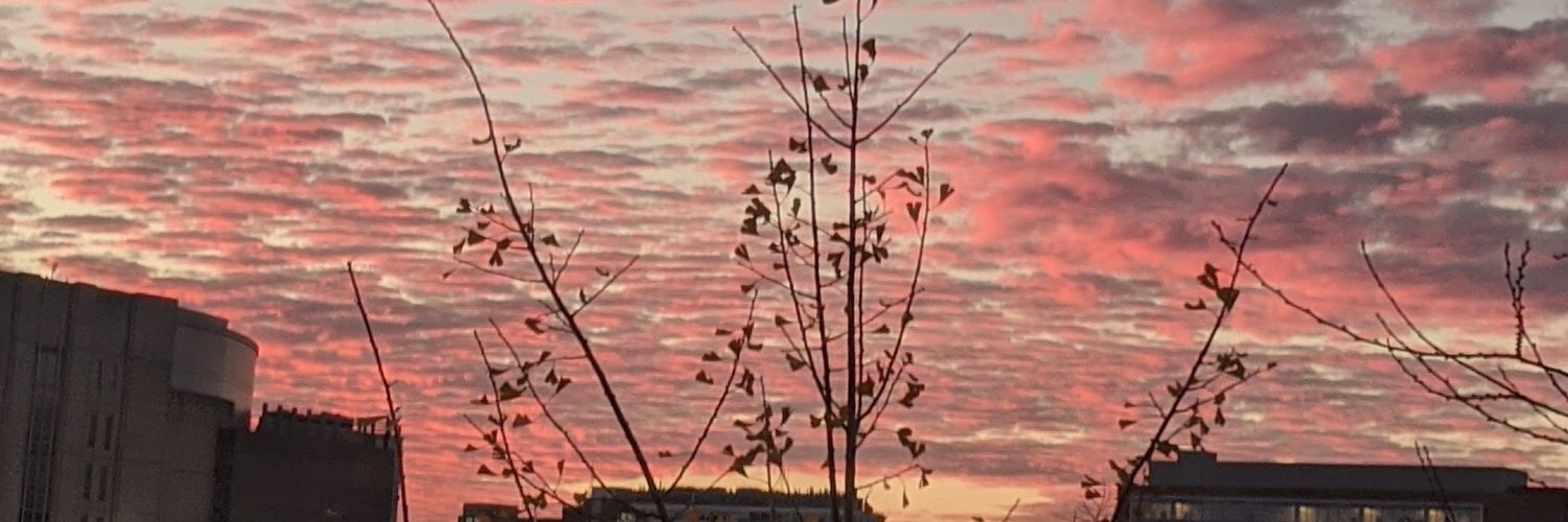 db_french's profile banner image