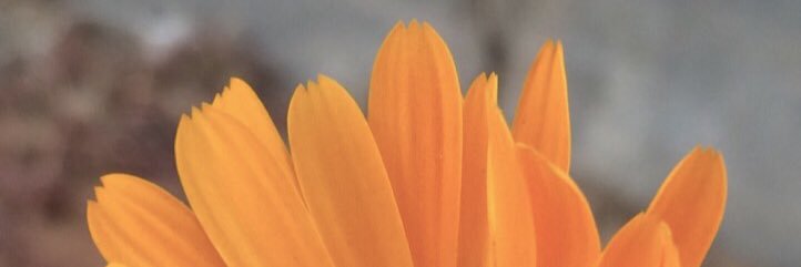 LOLELOO20's profile banner image