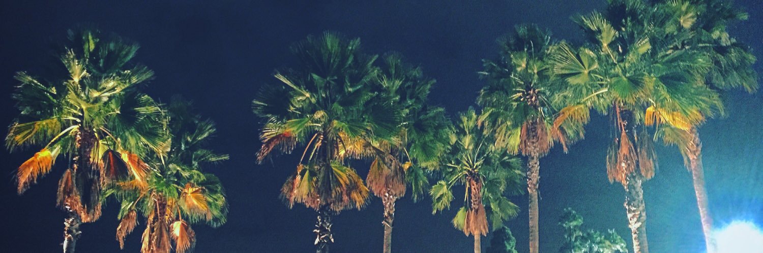 Kajsicken's profile banner image