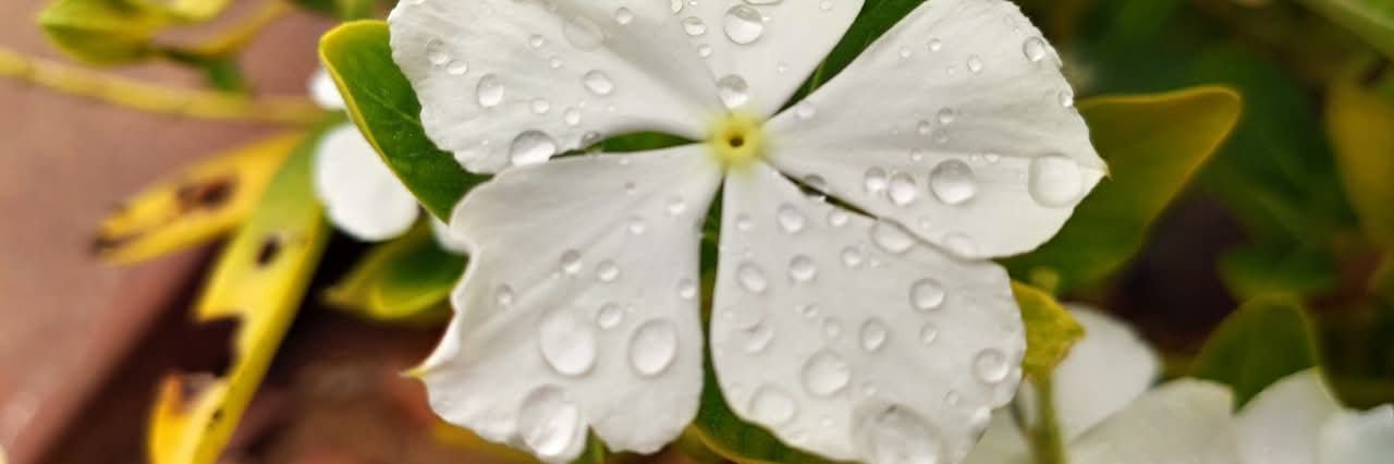 moaazih's profile banner image