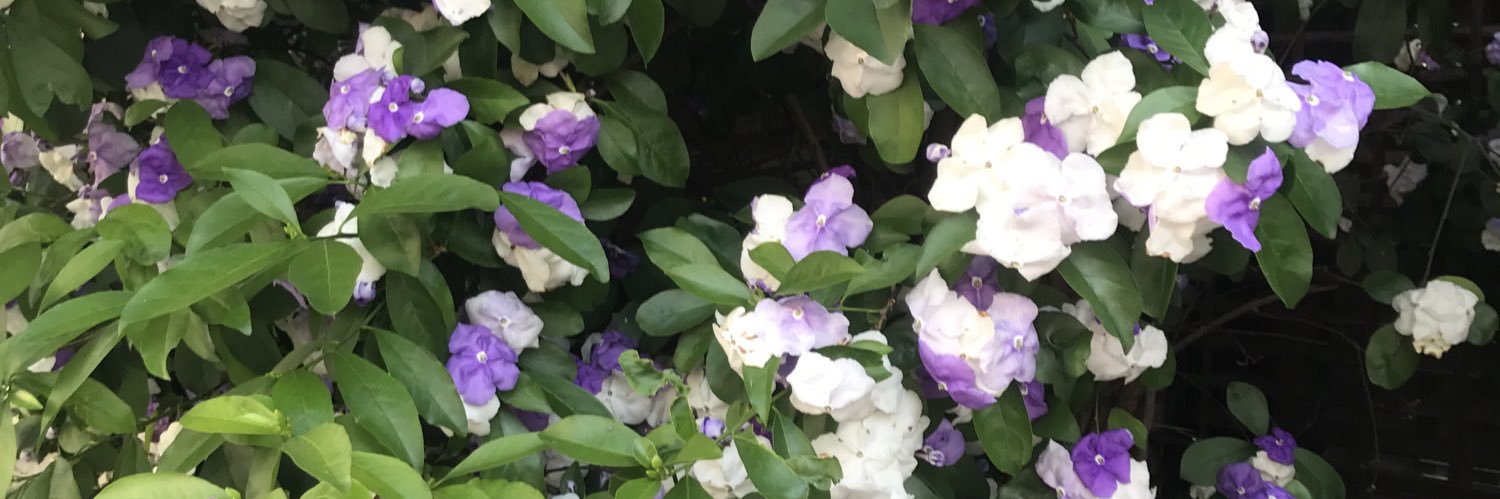 luciladellacasa's profile banner image