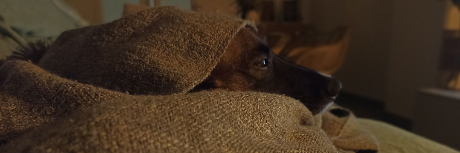 Mengucker's profile banner image