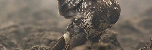 MartinG_92's profile banner image