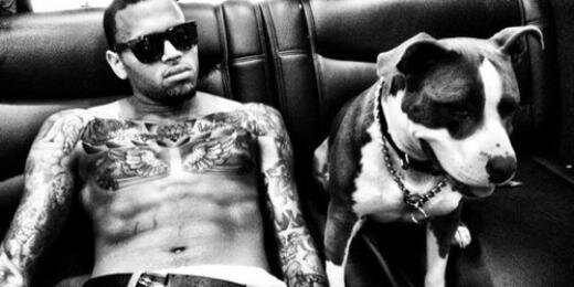 s_stackss's profile banner image