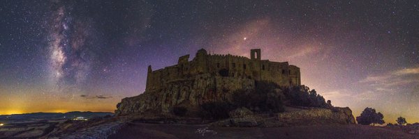 Organeando Profile Banner