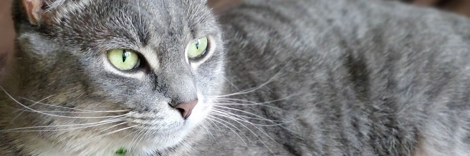 j0shmurray's profile banner image