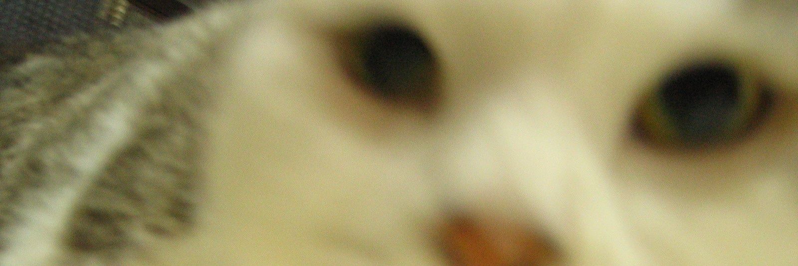 xyzm7's profile banner image