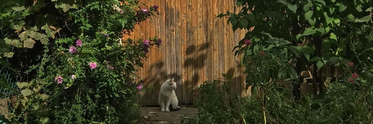 Theo "Hollend" Davelaar banner