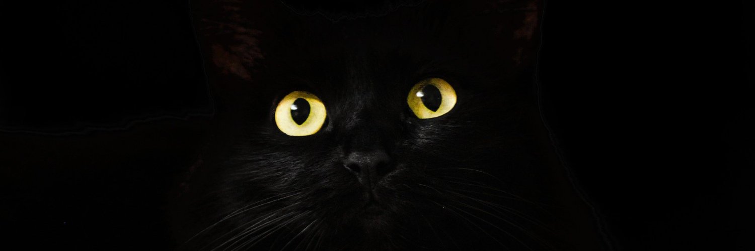 queirogamanu's profile banner image
