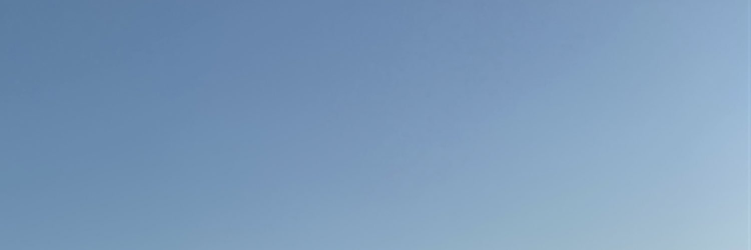 limboaoty's profile banner image