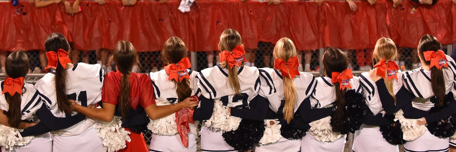 Saint Viator Cheerleading banner