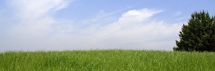 sugiyanlike8's profile banner image