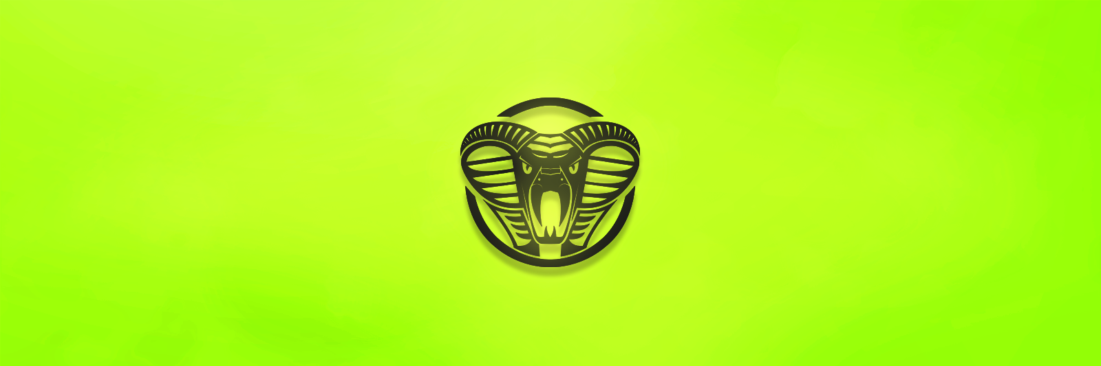 Reptile_Arts's profile banner image