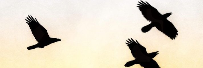 EmmaWellsMusic's profile banner image