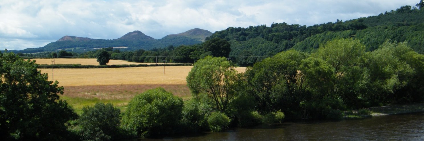 _DavidMcCreadie's profile banner image