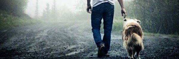_ERRoRXyz's profile banner image