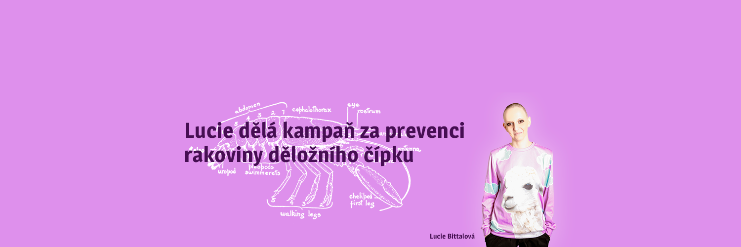 mesicraka's profile banner image