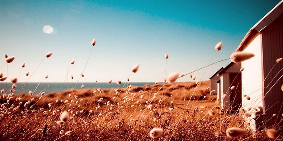 UrbanoRodrigo's profile banner image