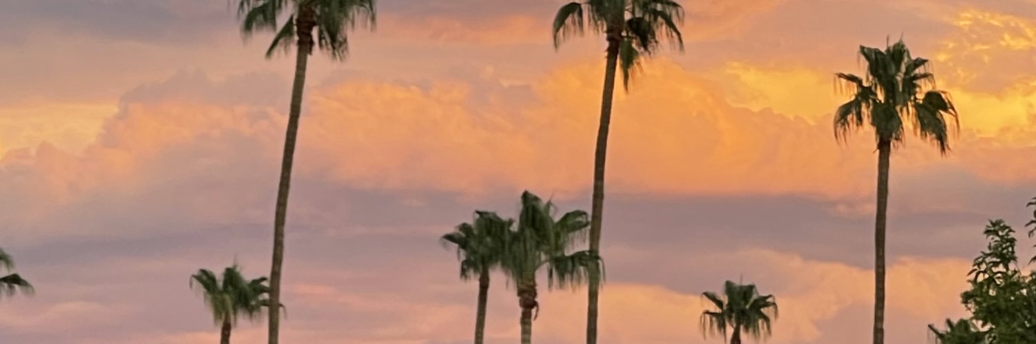 heyrebitcha's profile banner image