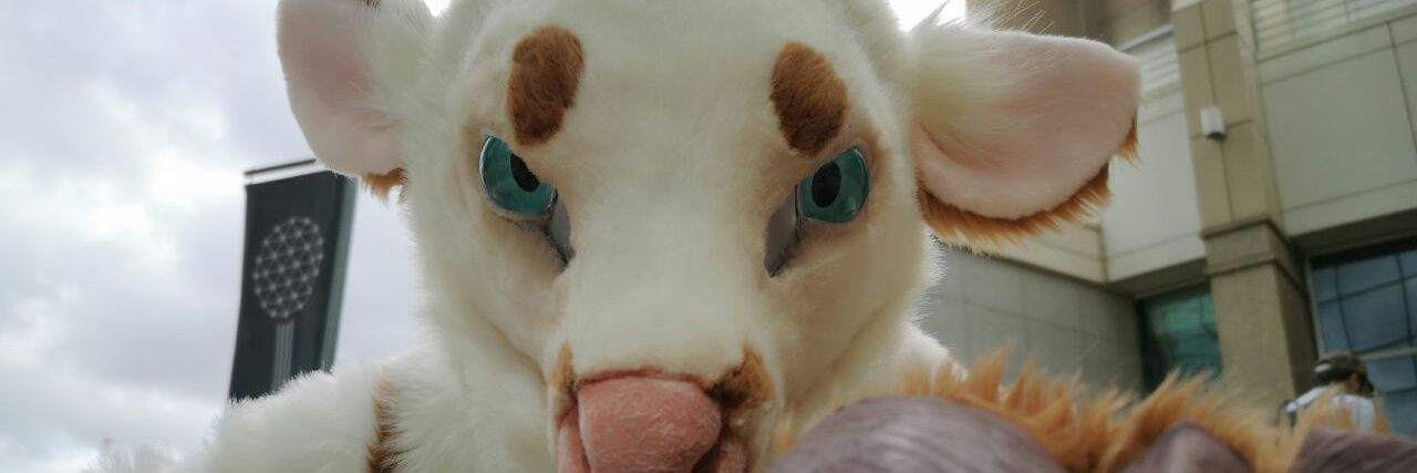 Cricketdeer's profile banner image