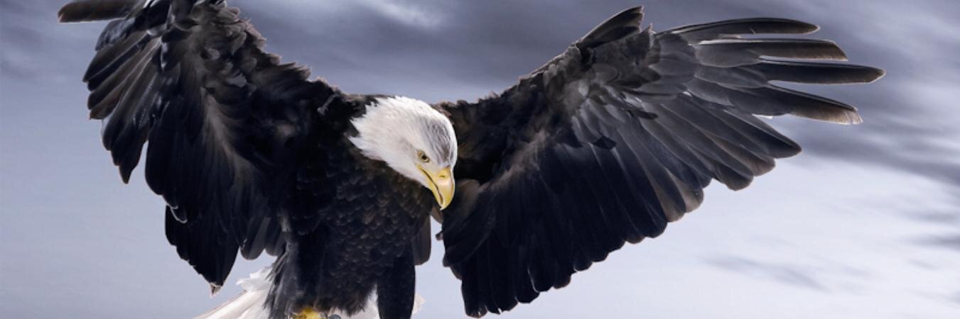 KARTALSEKER's profile banner image