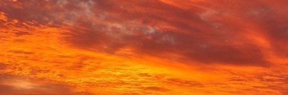 sandytarek's profile banner image