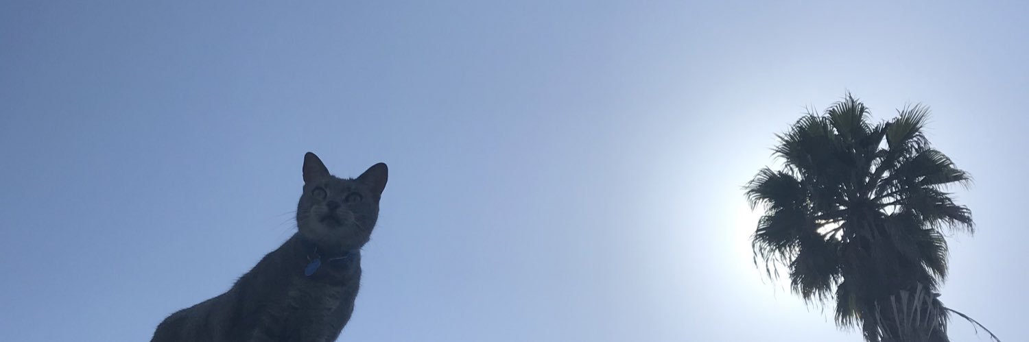 cheyannes's profile banner image
