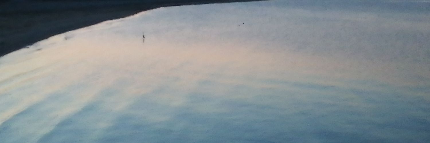 eli_drudi's profile banner image
