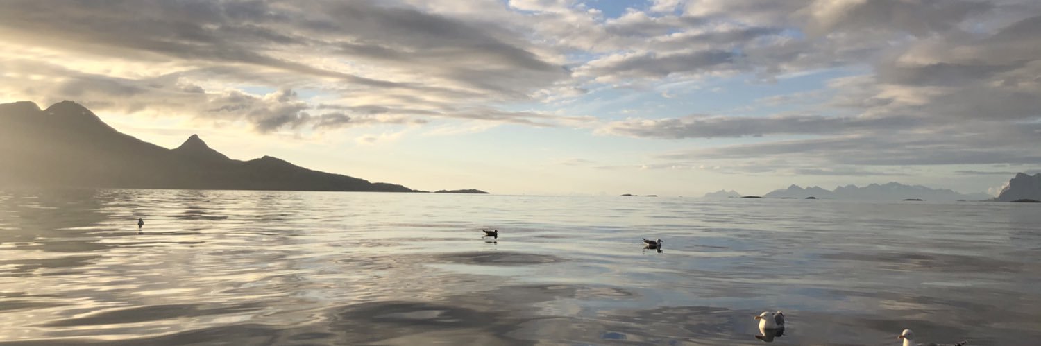 Elin Åsbakk Lind banner