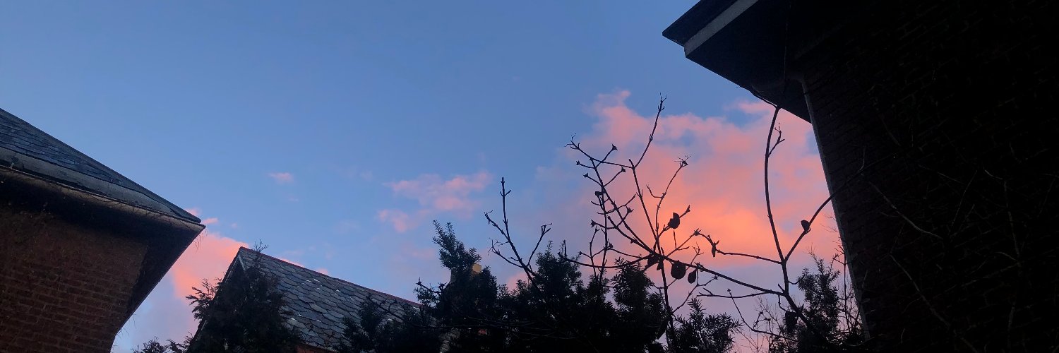 Clarahope2019's profile banner image