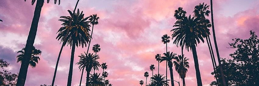 Stetson Bloomfield banner