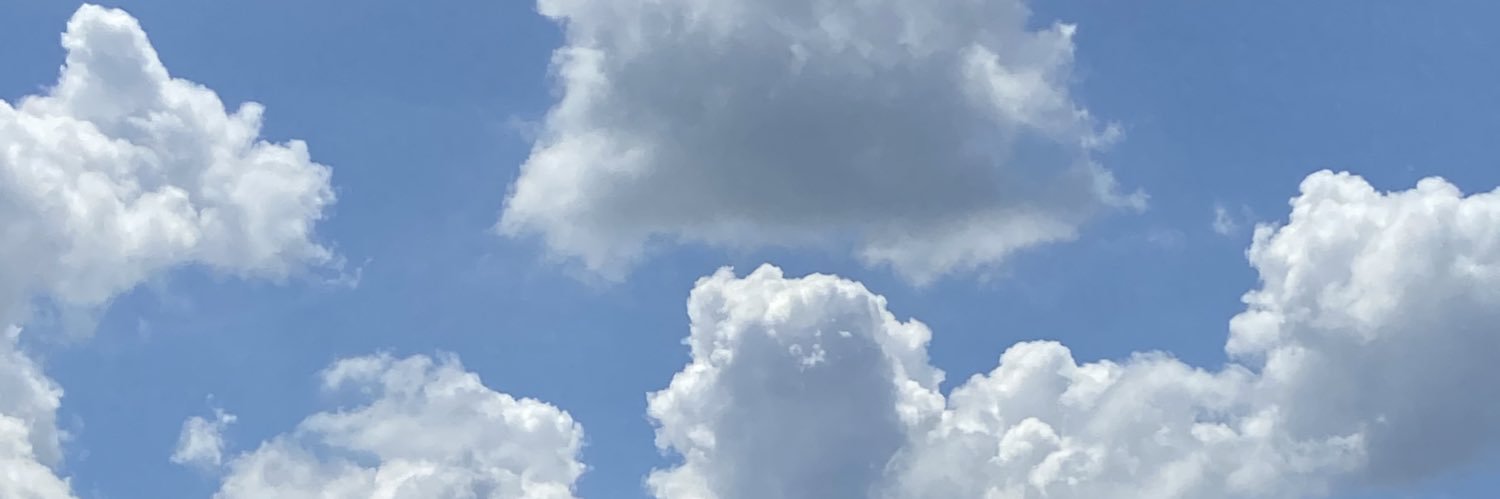 Mommacisko's profile banner image