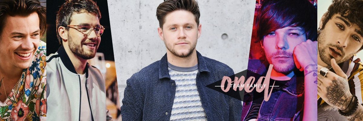 Team 1D Family banner