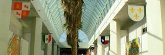 YungTexasPlaya's profile banner image