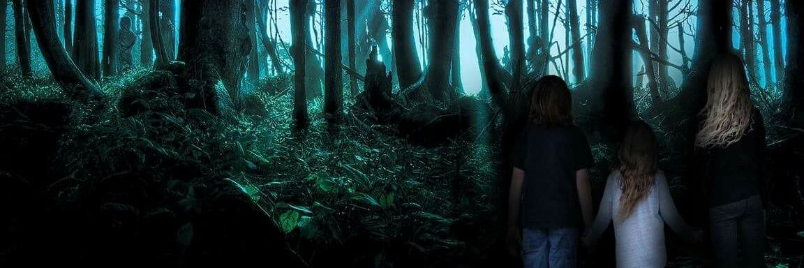 regina_oconnell's profile banner image
