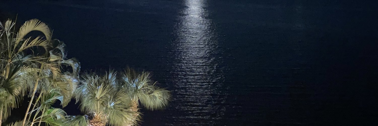 emtheiridescent's profile banner image