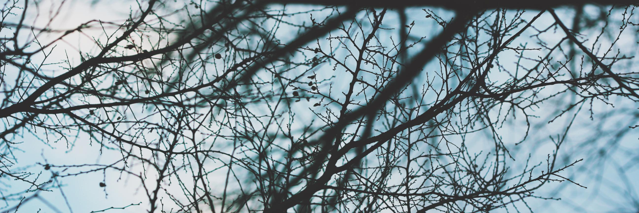 KinseySwain's profile banner image