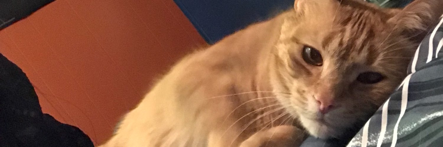 melrockzz7's profile banner image