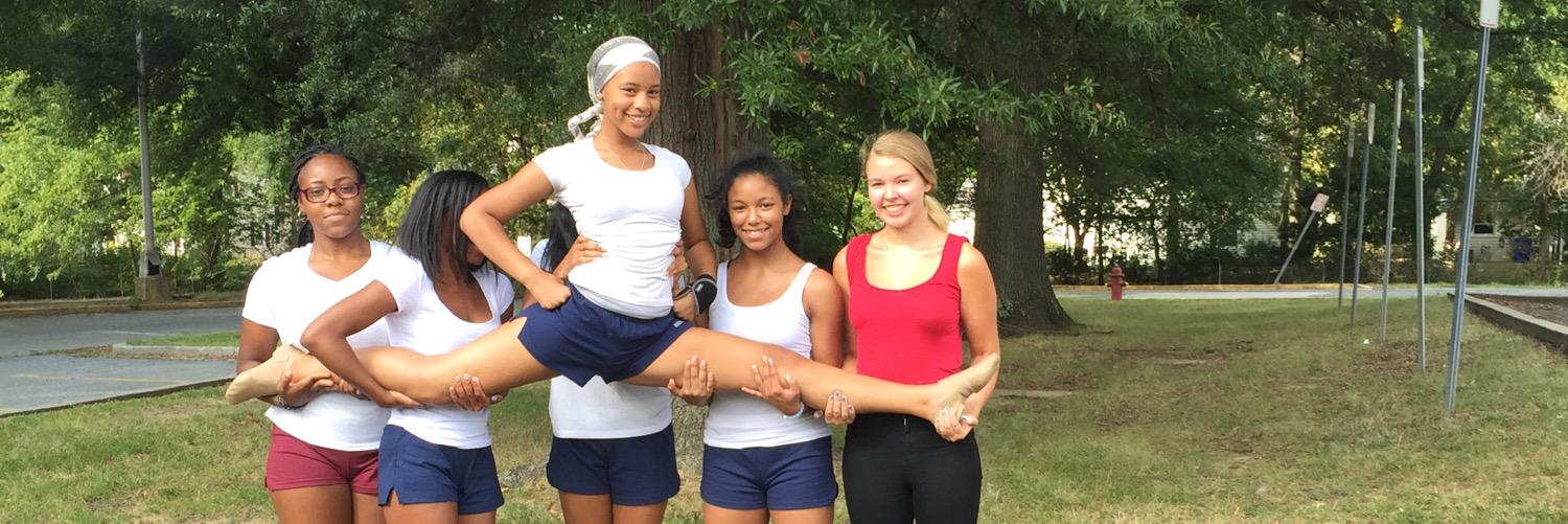 BowieHSDance's profile banner image