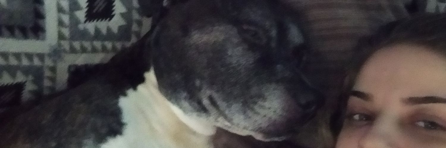 LagioyLina's profile banner image