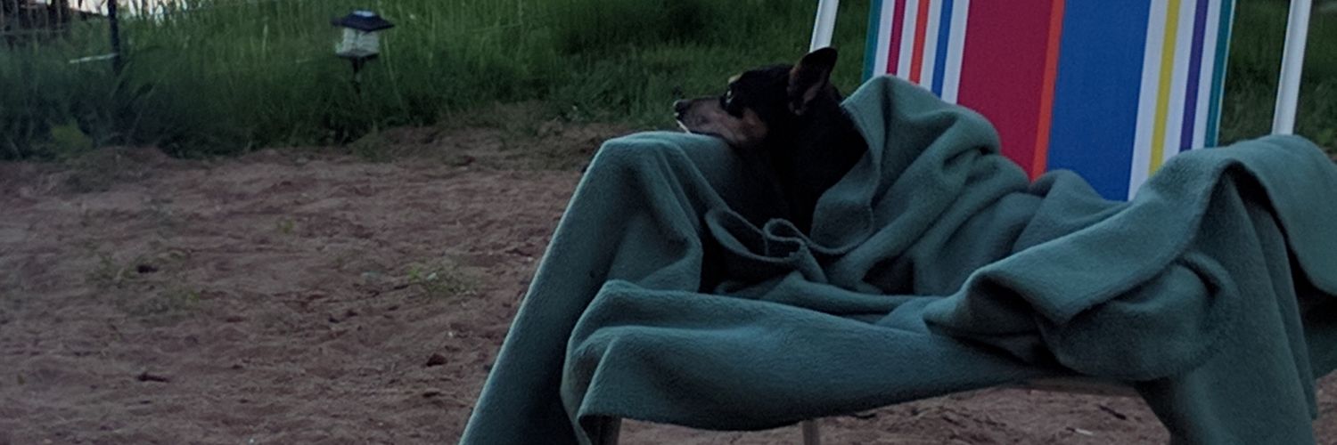 hwutt's profile banner image