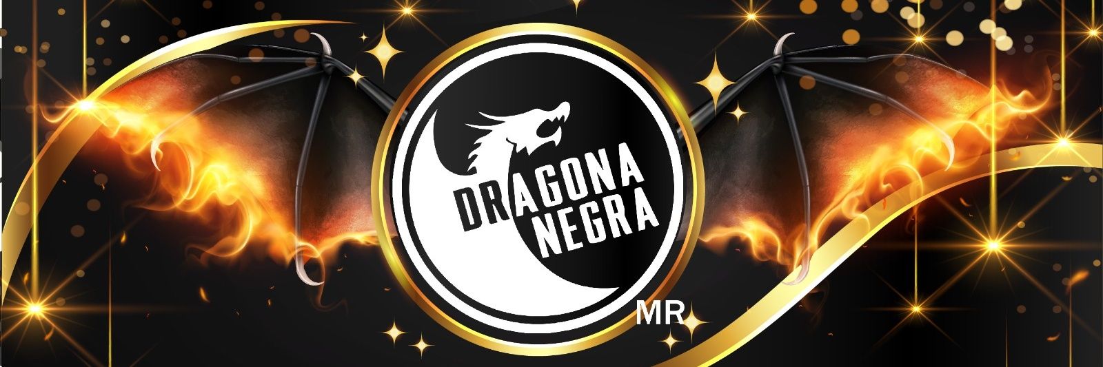 dragona_negra's profile banner image