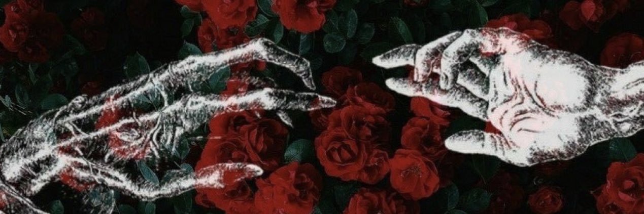 TorresKorii's profile banner image