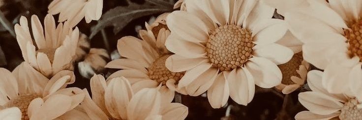 jusanchez1294's profile banner image