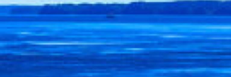 CBayLoneFir's profile banner image